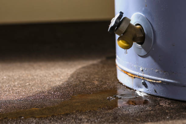 Best Residential water damage restoration  in Fallon, NV