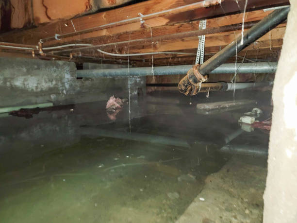Best 24-hour water damage restoration  in Fallon, NV