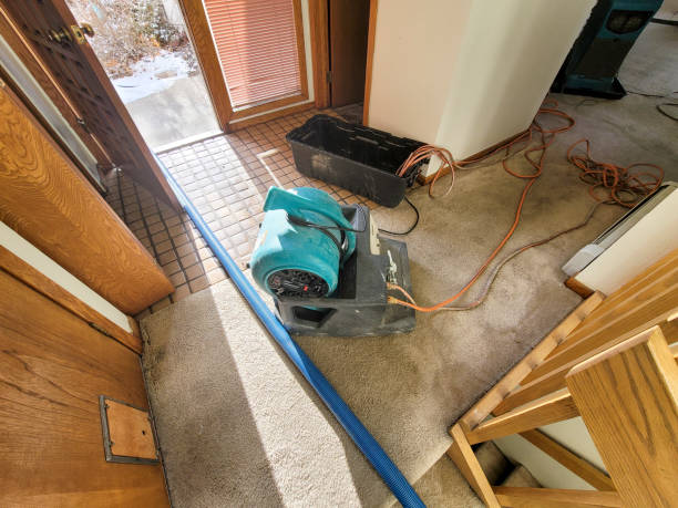 Carpet water damage restoration in NV