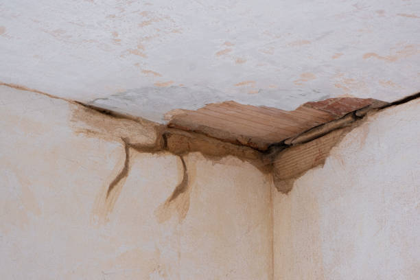 Water damage restoration mold remediation in NV