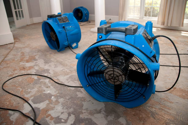 Best Fire Damage Restoration  in Fallon, NV