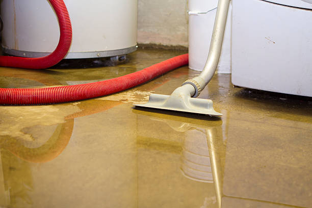 Best Ceiling water damage repair  in Fallon, NV